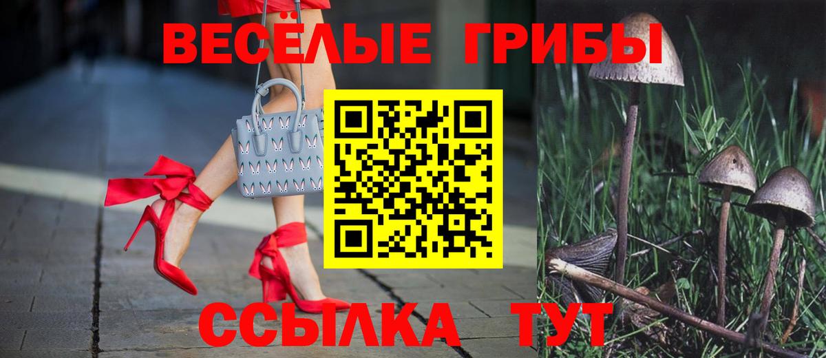Псилоцибиновые грибы Psilocybine cubensis Анапа